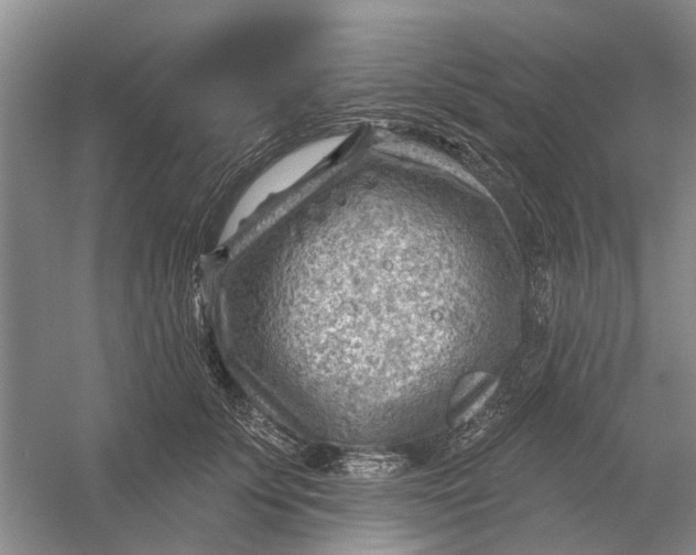 X0000054400707200508192005