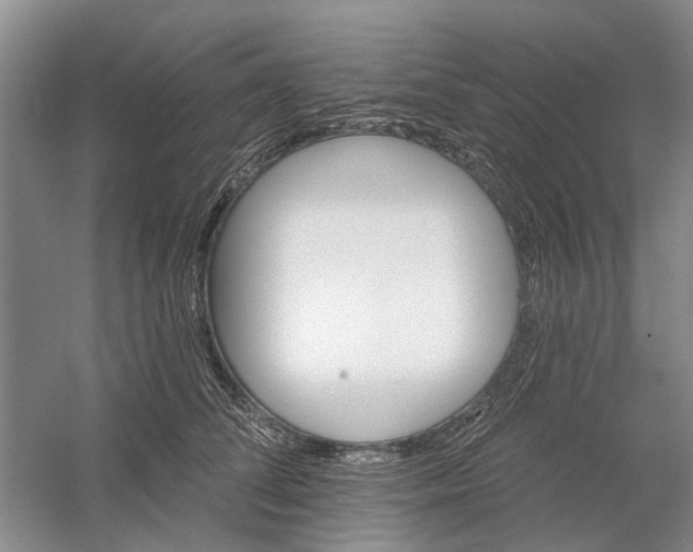 X0000054400708200508192005