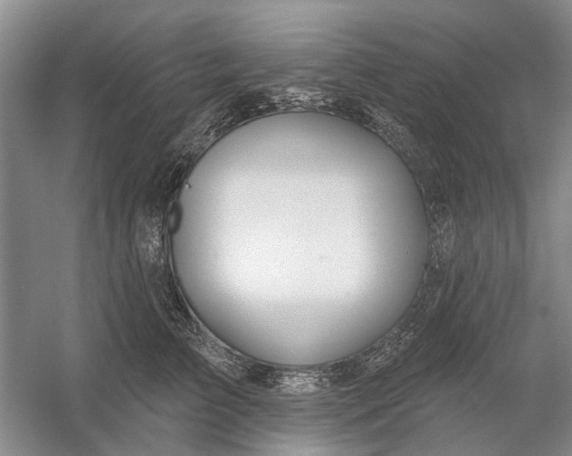 X0000054400709200508192005