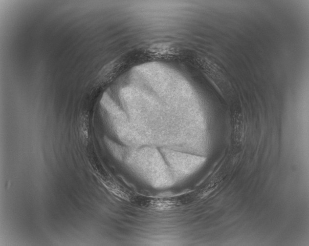 X0000054400710200508192005