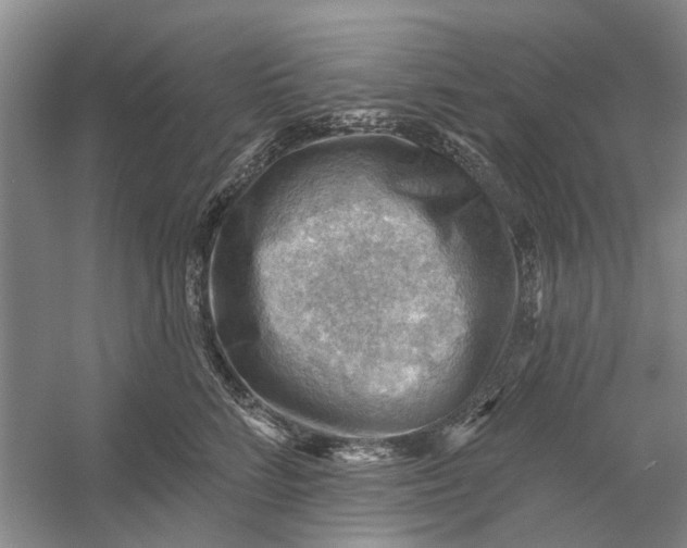 X0000054400712200508192005