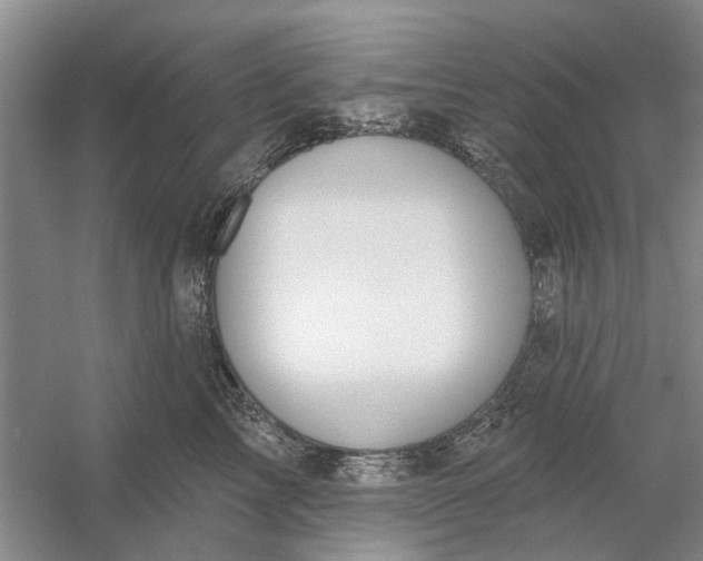 X0000054400713200508192005