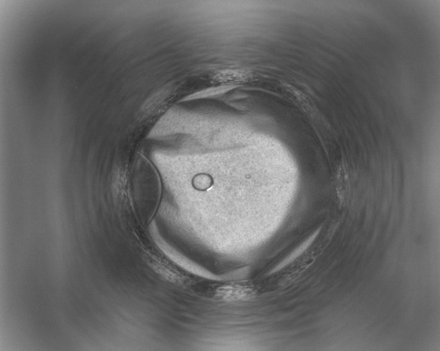 X0000054400714200508192005