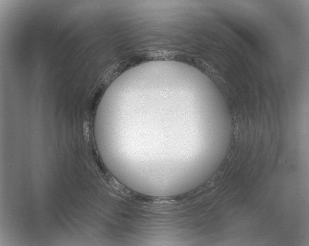 X0000054400716200508192005