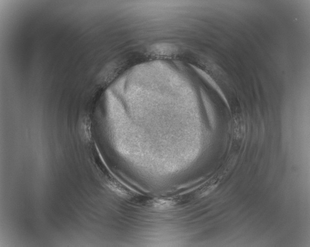 X0000054400718200508192005