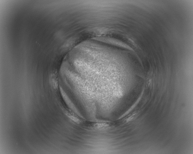 X0000054400719200508192005