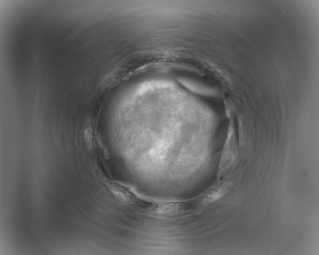 X0000054400720200508192005