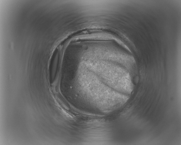 X0000054400721200508192004