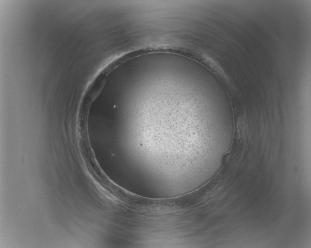 X0000054400722200508192004