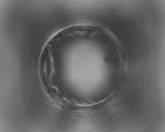 X0000054400724200508192004