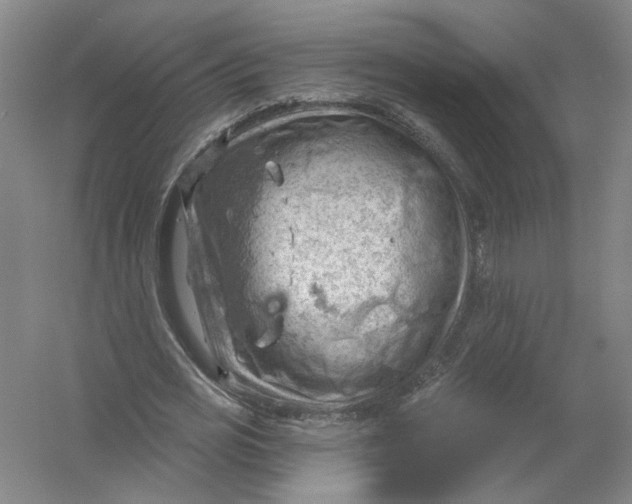 X0000054400725200508192004