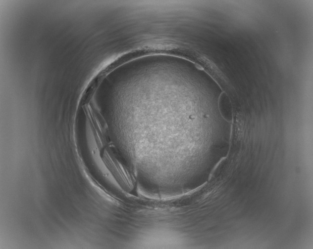 X0000054400726200508192004