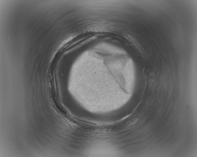 X0000054400727200508192004