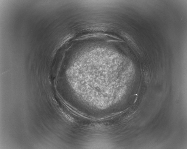 X0000054400729200508192004