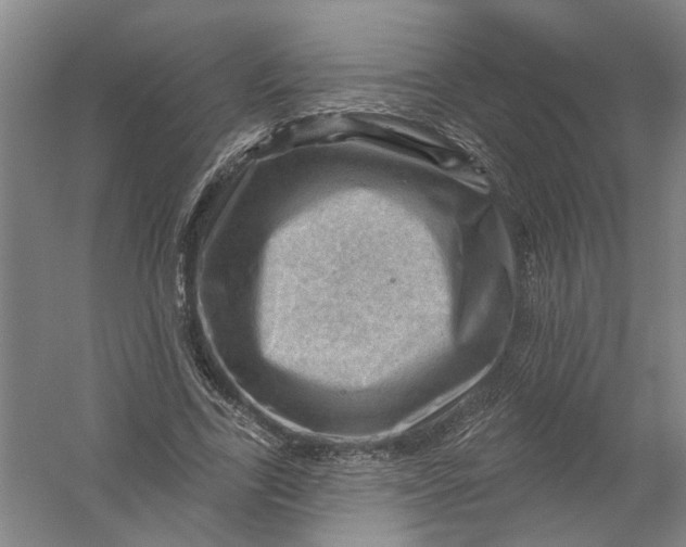 X0000054400731200508192004