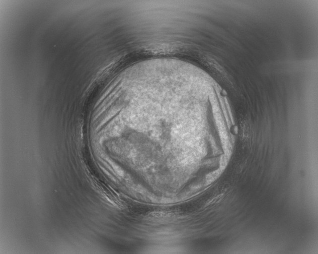 X0000054400733200508192004