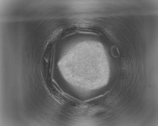 X0000054400738200508192004