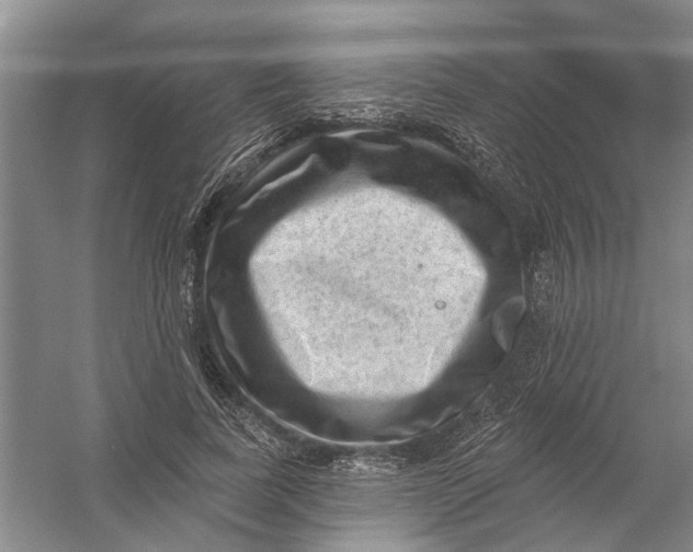 X0000054400739200508192004