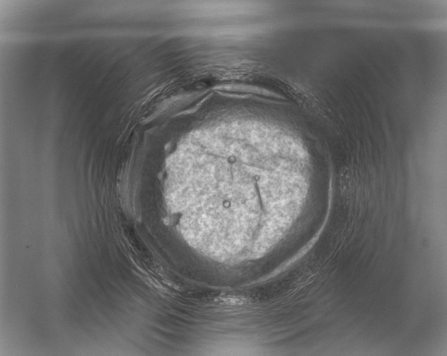 X0000054400741200508192004