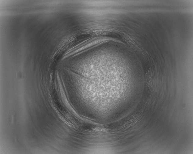 X0000054400742200508192004