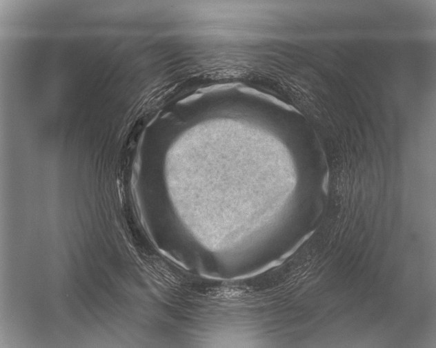 X0000054400743200508192004