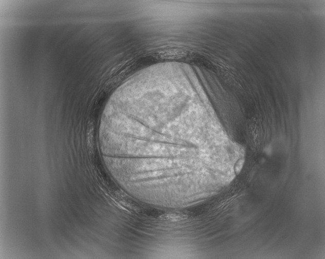 X0000054400745200508192004