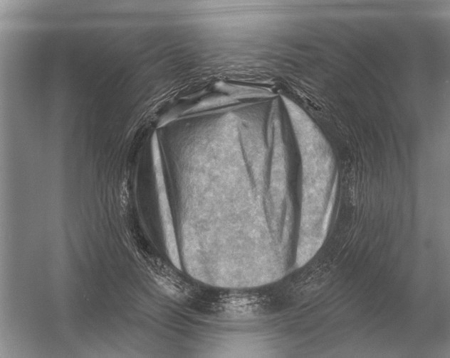 X0000054400746200508192004