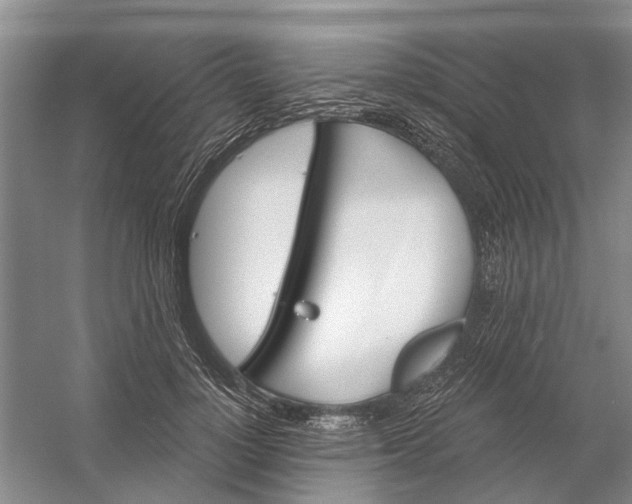 X0000054400748200508192004