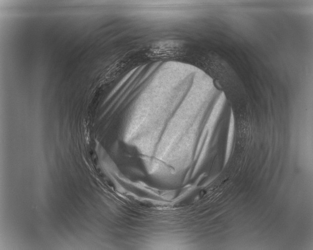 X0000054400751200508192004