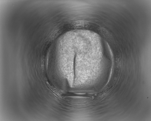 X0000054400753200508192005