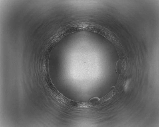 X0000054400754200508192005