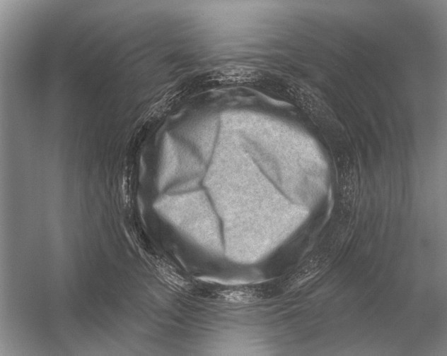 X0000054400755200508192005