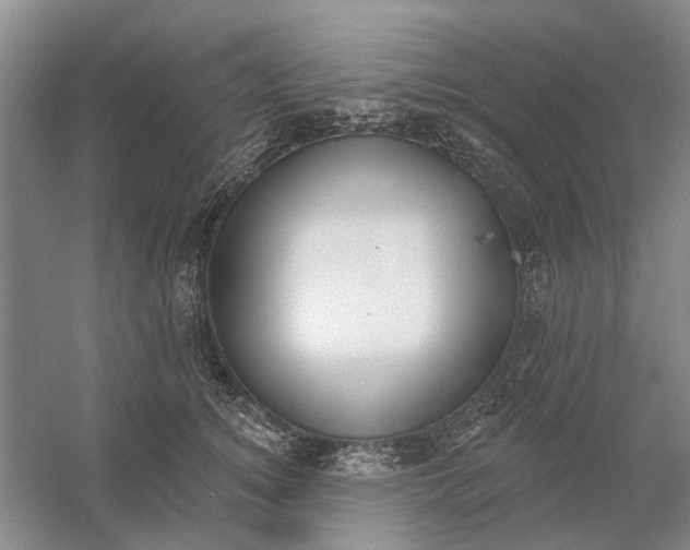 X0000054400756200508192005