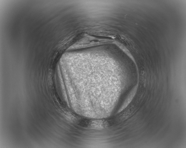 X0000054400757200508192005