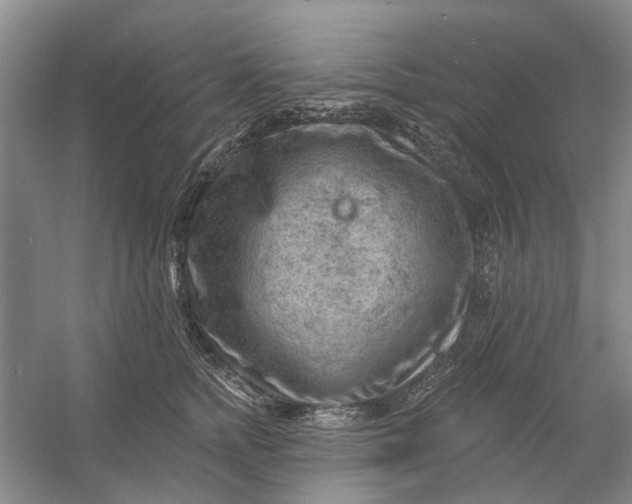 X0000054400758200508192005