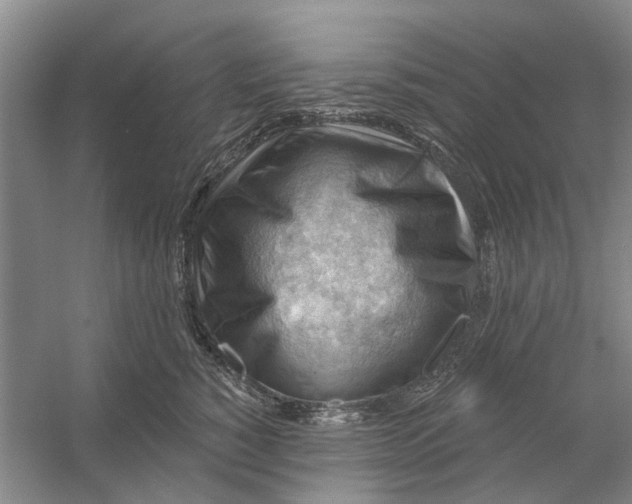 X0000054400760200508192005