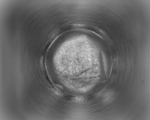 X0000054400765200508192005