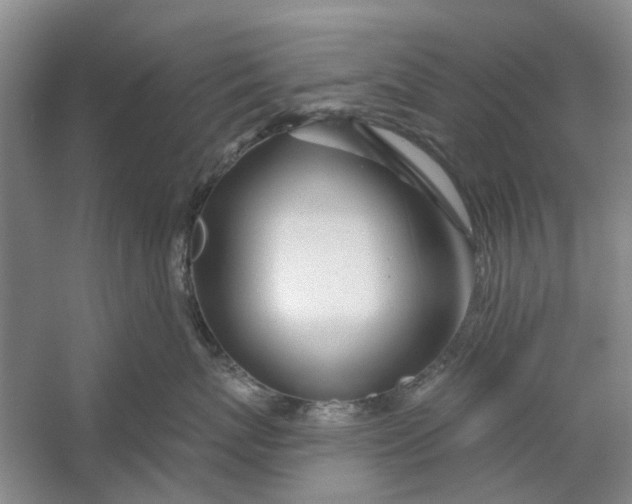 X0000054400767200508192005