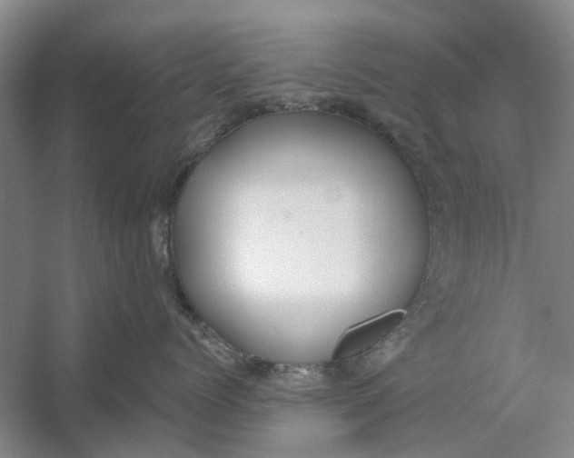 X0000054400768200508192005