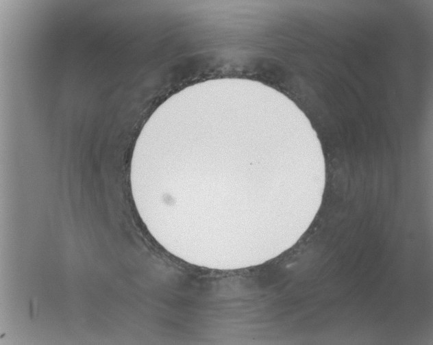 X0000054400769200508192004