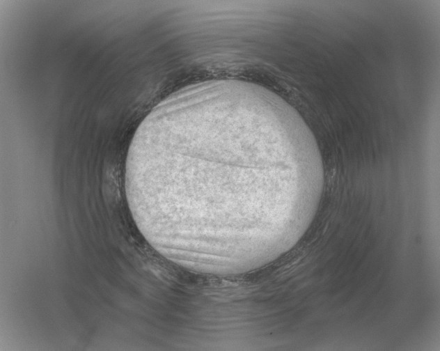 X0000054400772200508192004