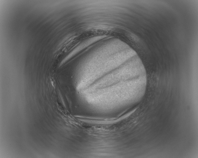 X0000054400774200508192004