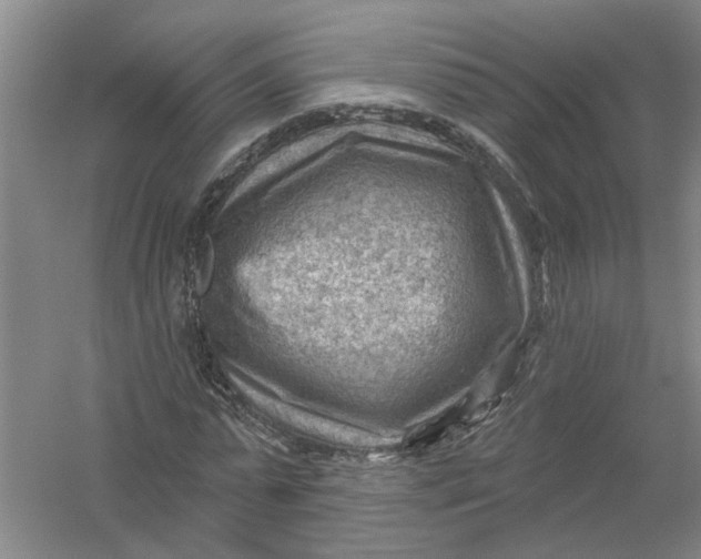 X0000054400775200508192004