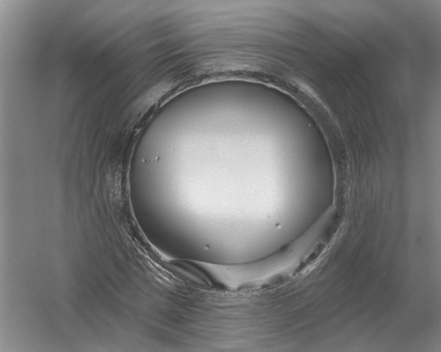 X0000054400777200508192004