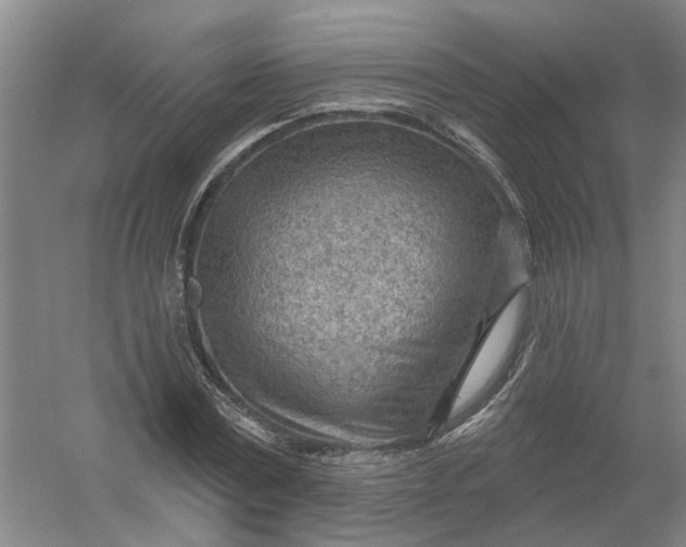 X0000054400779200508192004