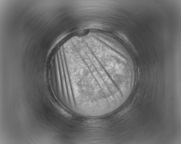 X0000054400780200508192004