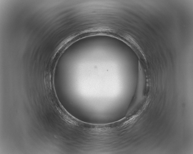 X0000054400781200508192004