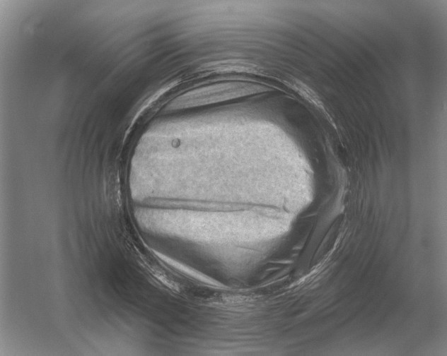 X0000054400782200508192004