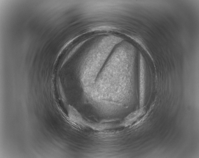 X0000054400783200508192004