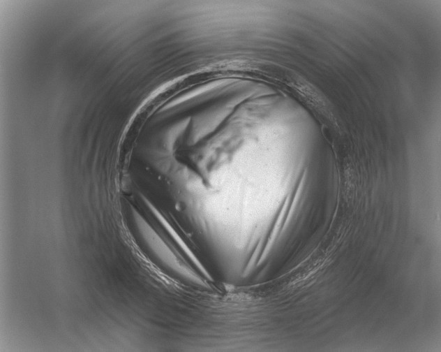 X0000054400784200508192004